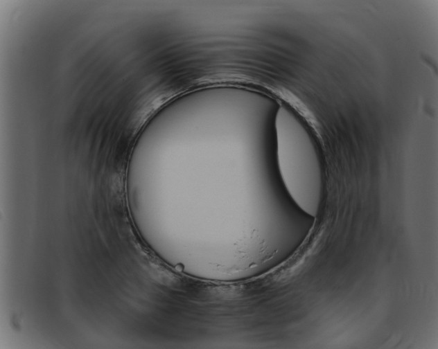 X0000093430937200710120914