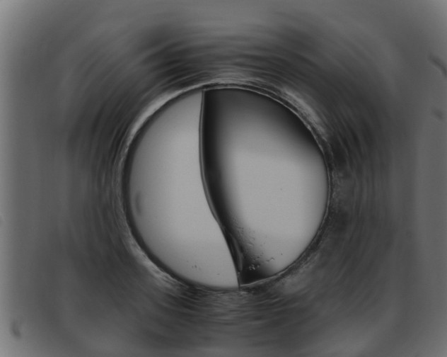 X0000093430939200710120914
