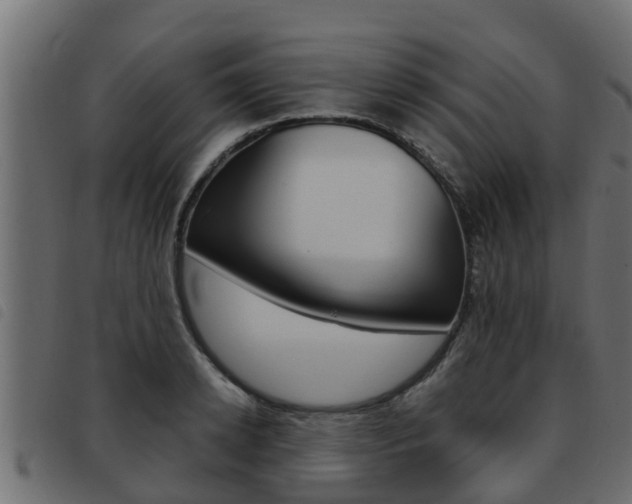 X0000093430942200710120915