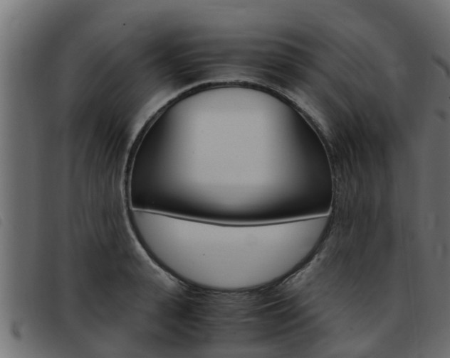 X0000093430943200710120915