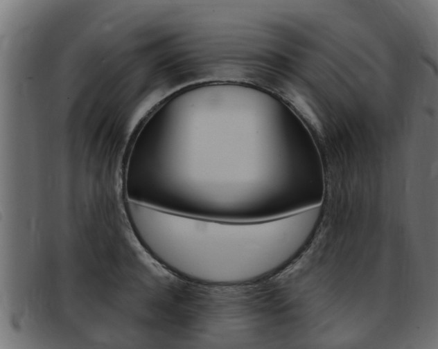 X0000093430944200710120915