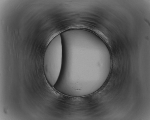 X0000093430945200710120915