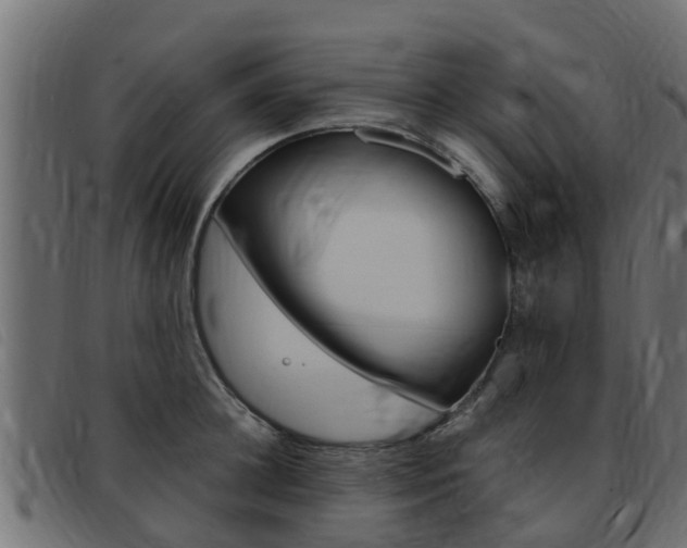 X0000093430948200710120915