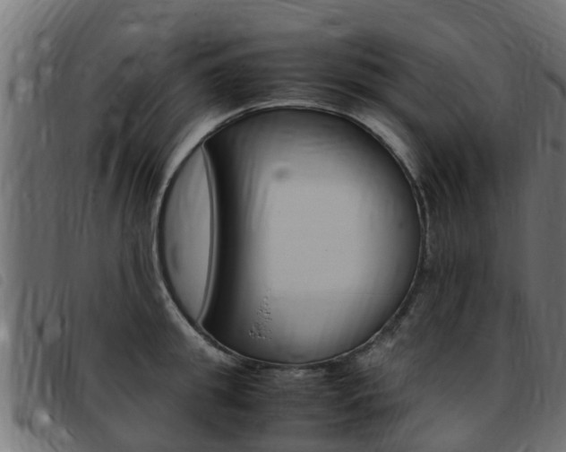 X0000093430949200710120915