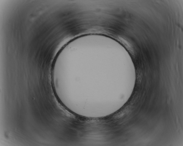 X0000093430950200710120915