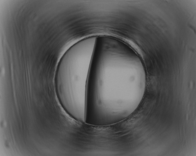 X0000093430951200710120915