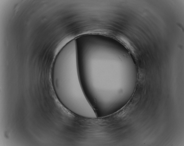 X0000093430952200710120915
