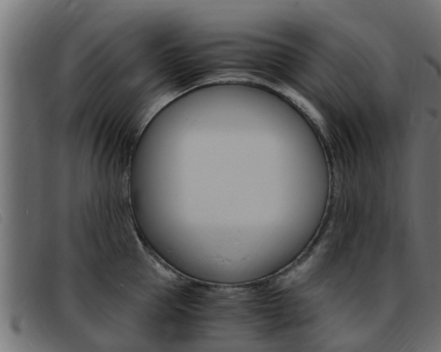 X0000093430953200710120915