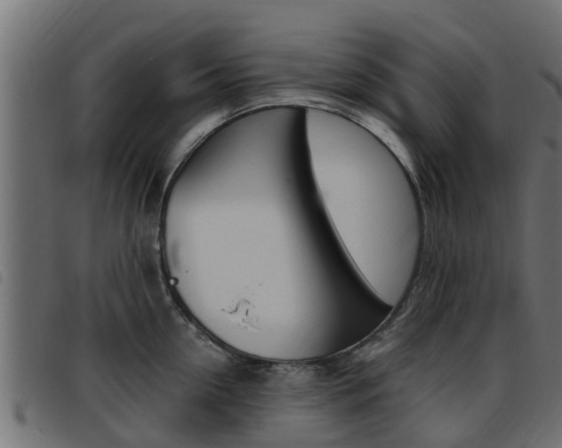 X0000093430954200710120915