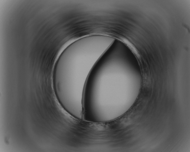 X0000093430955200710120915