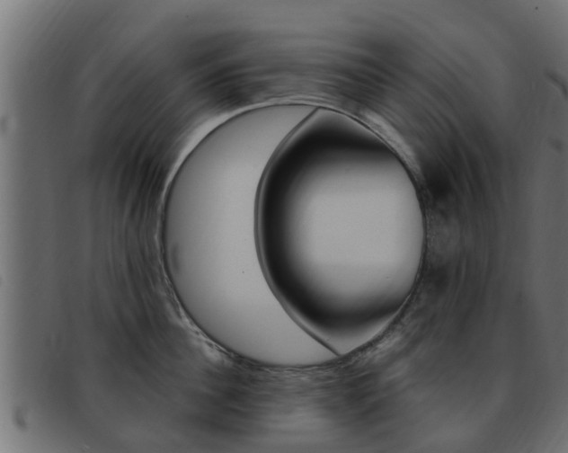 X0000093430956200710120915