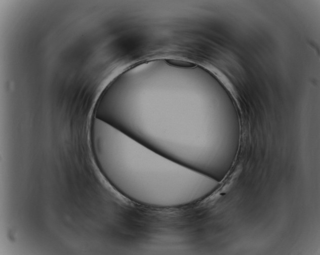 X0000093430957200710120915