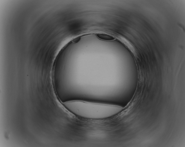 X0000093430958200710120915