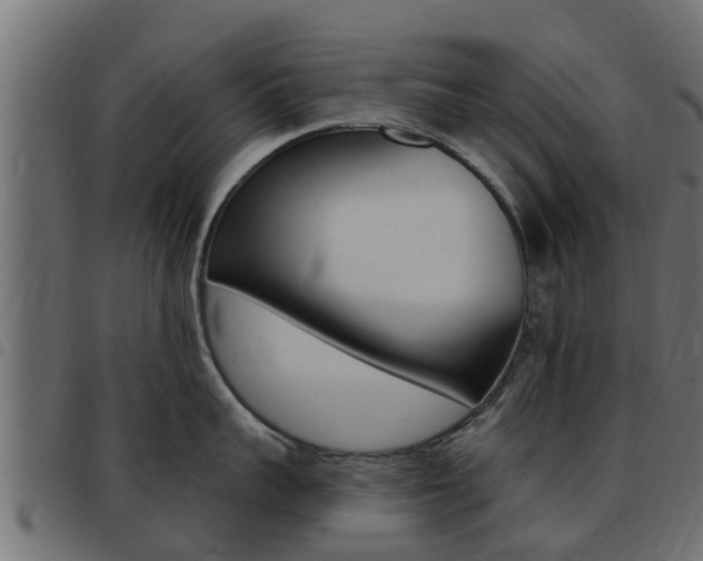 X0000093430959200710120915
