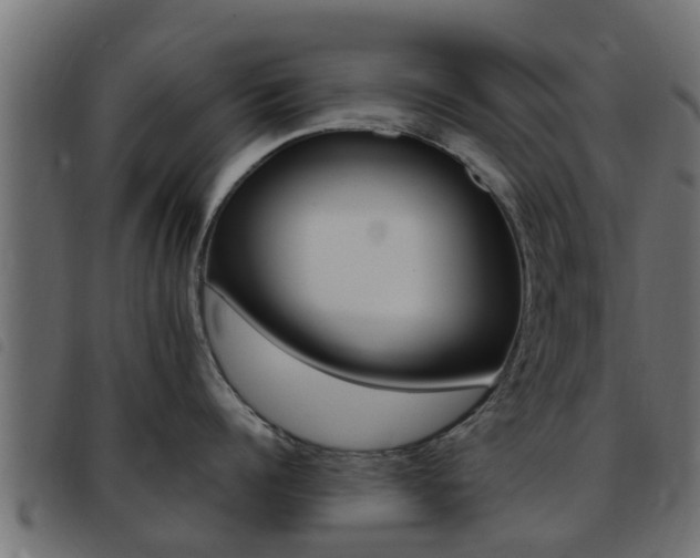 X0000093430960200710120915