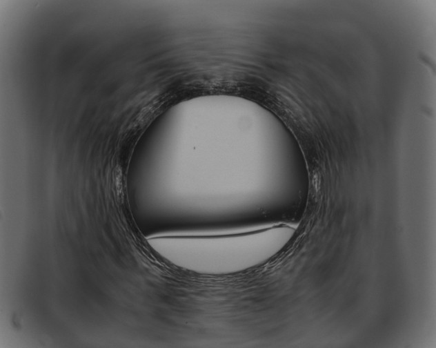 X0000093430963200710120914