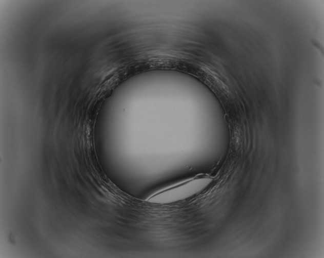 X0000093430964200710120914
