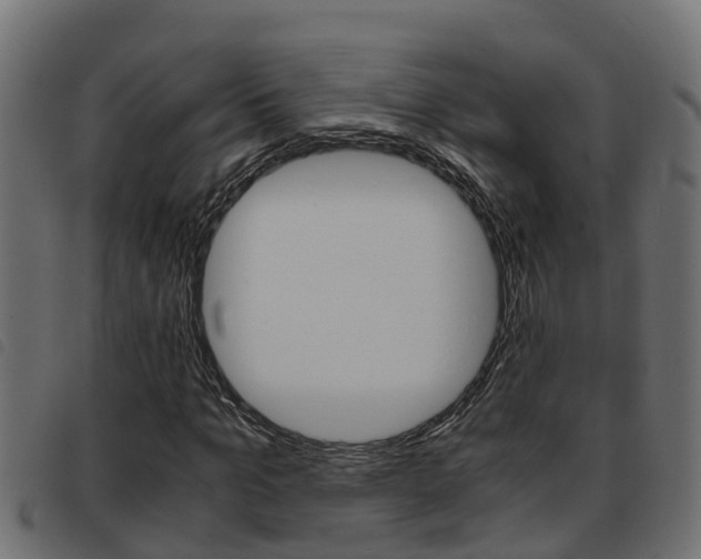 X0000093430965200710120914