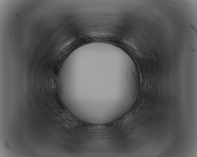 X0000093430966200710120914