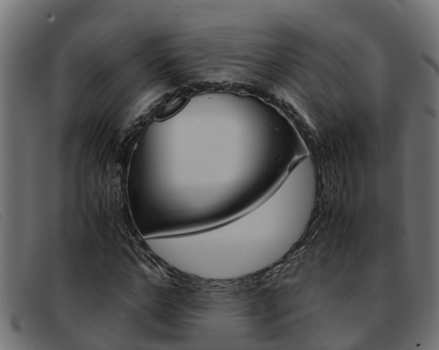 X0000093430968200710120914