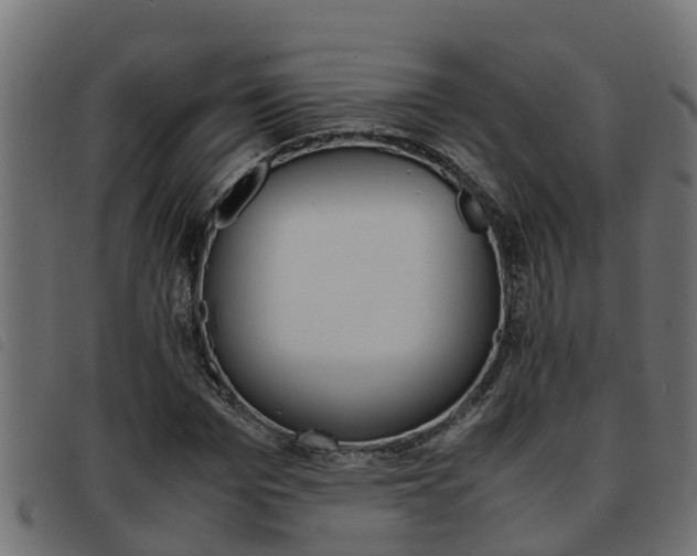 X0000093430969200710120914