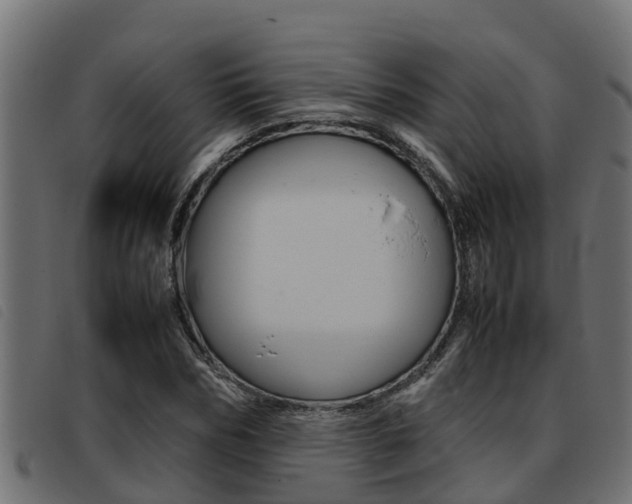 X0000093430970200710120914