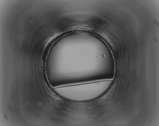 X0000093430971200710120914