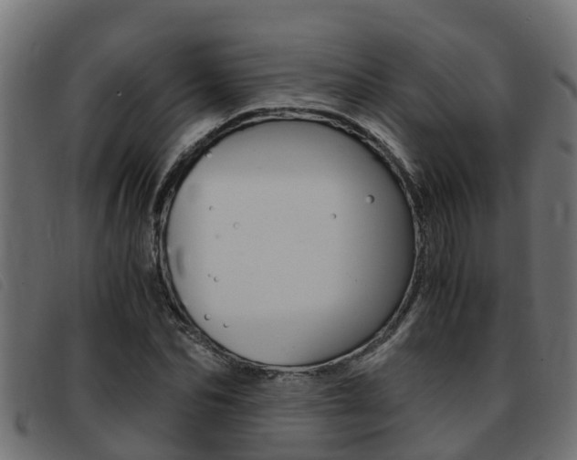 X0000093430974200710120914