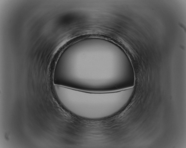X0000093430975200710120914