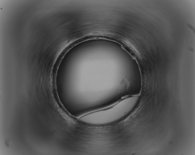 X0000093430976200710120914