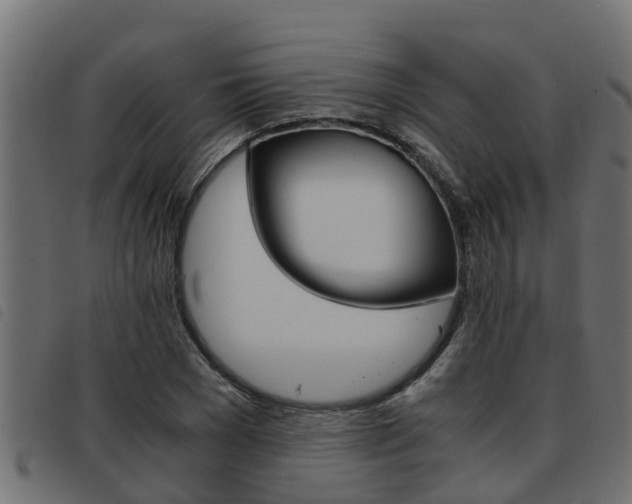 X0000093430977200710120914