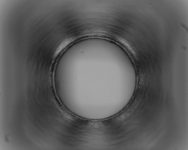 X0000093430978200710120914
