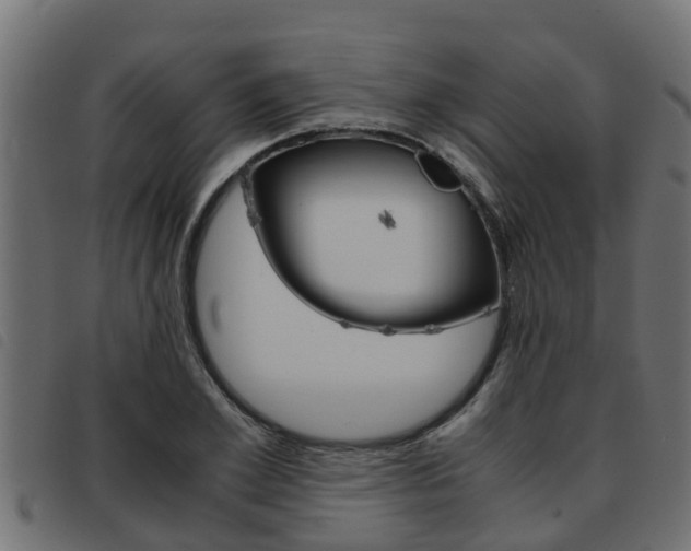 X0000093430981200710120914