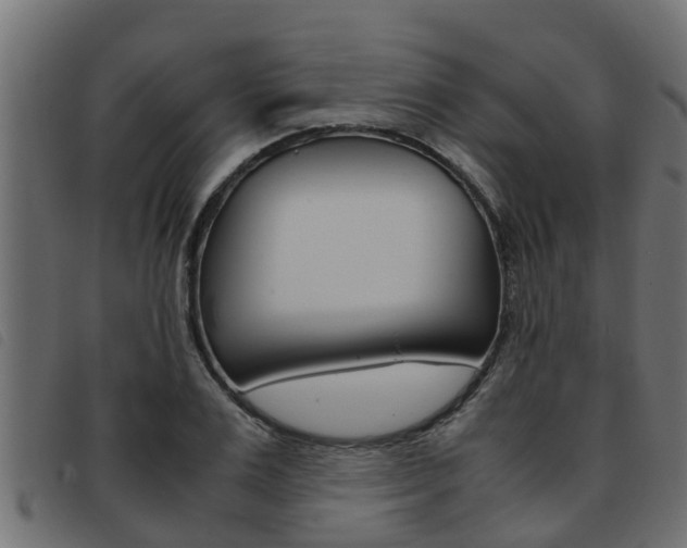 X0000093430983200710120914