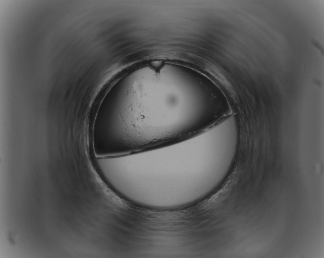 X0000093430984200710120914