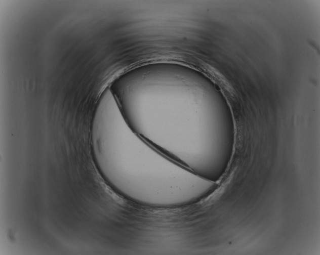 X0000093430985200710120914