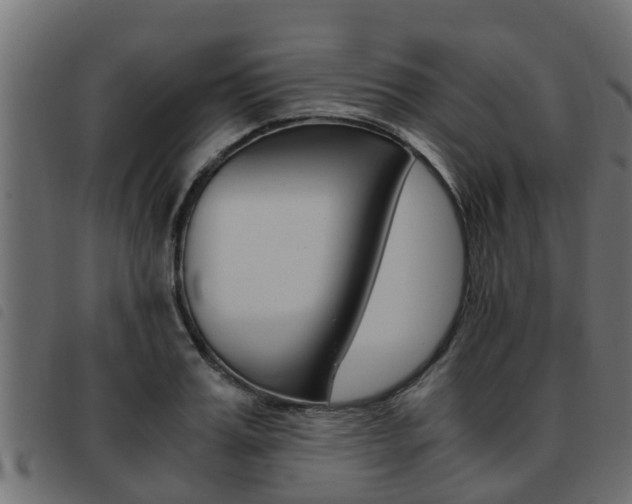 X0000093430987200710120914