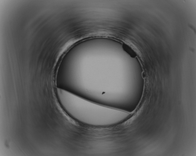 X0000093430989200710120914