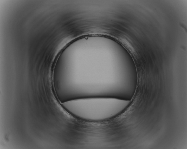 X0000093430990200710120914