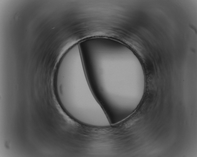 X0000093430991200710120914