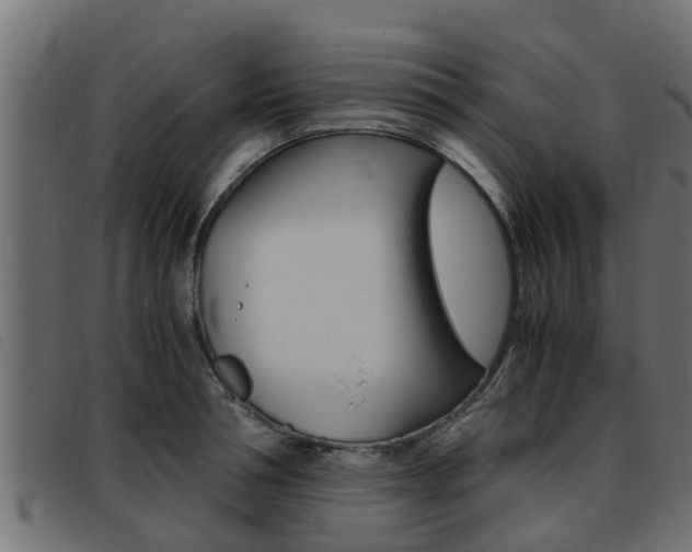 X0000093430994200710120914
