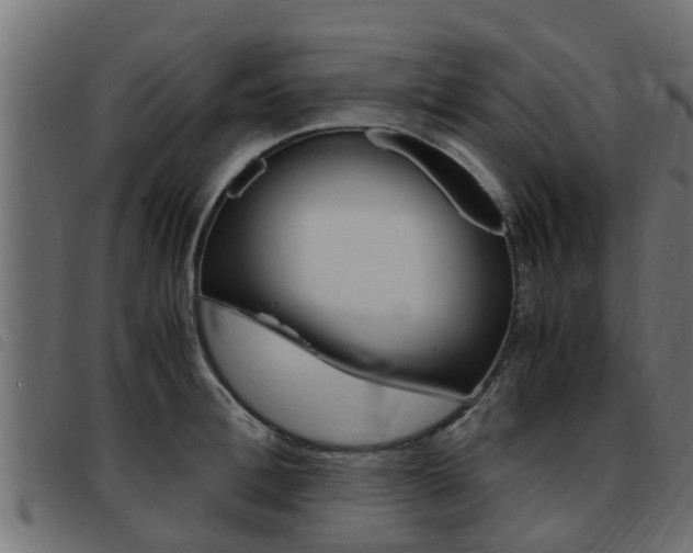 X0000093430996200710120914