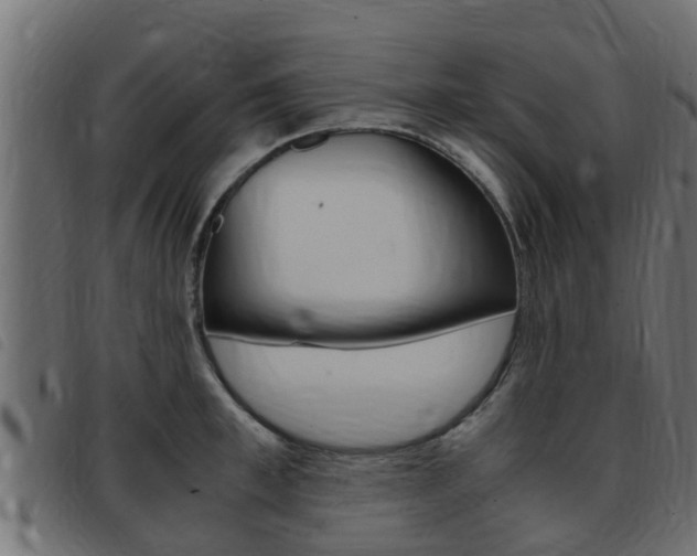 X0000093430997200710120914