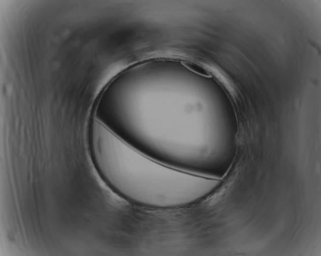 X0000093430999200710120914