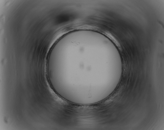 X0000093431000200710120914