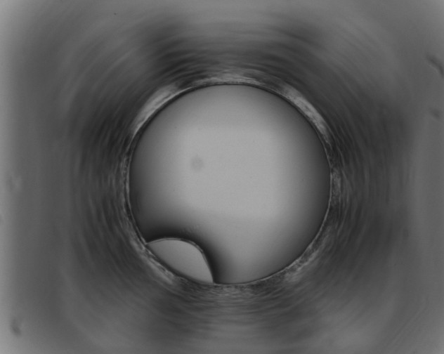X0000093431002200710120914