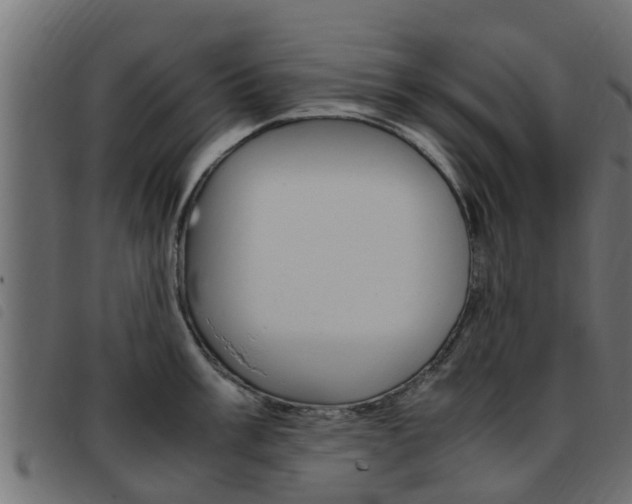 X0000093431003200710120914