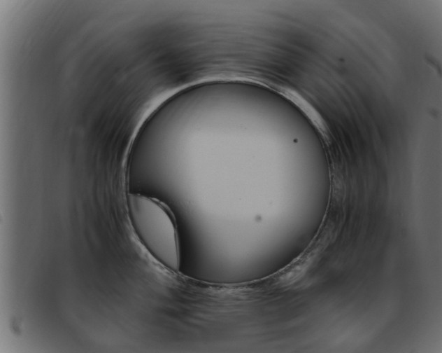 X0000093431004200710120914