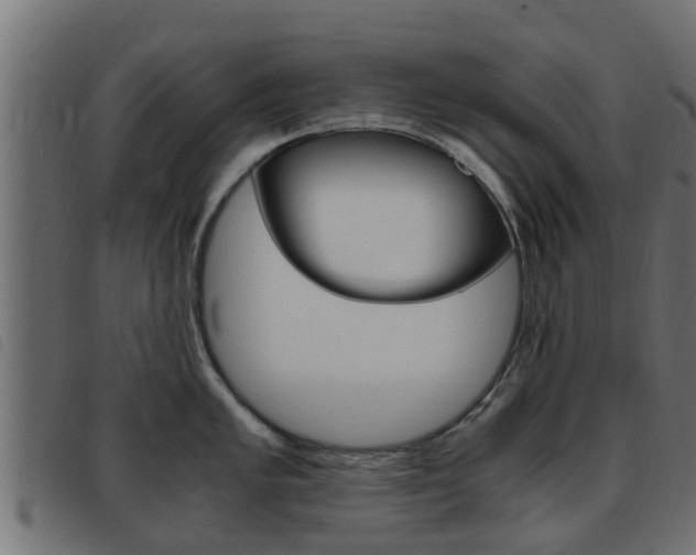 X0000093431005200710120914