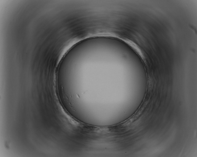 X0000093431006200710120914